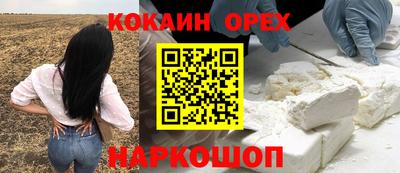 соль ск Шелехов