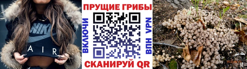 Псилоцибиновые грибы Psilocybe omg зеркало Курганинск