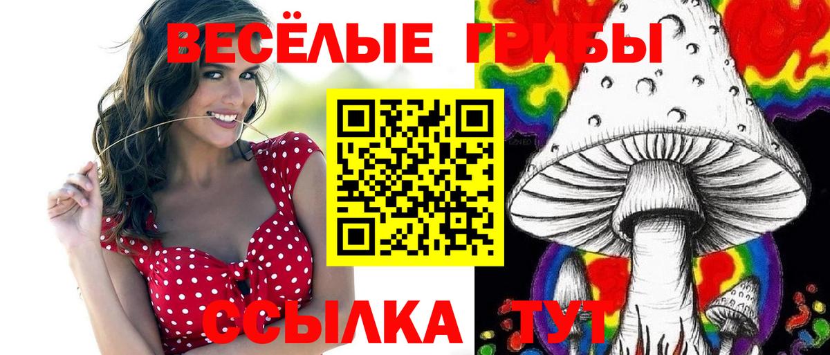 Курганинск  Галлюциногенные грибы мухоморы  Вход с VPN 