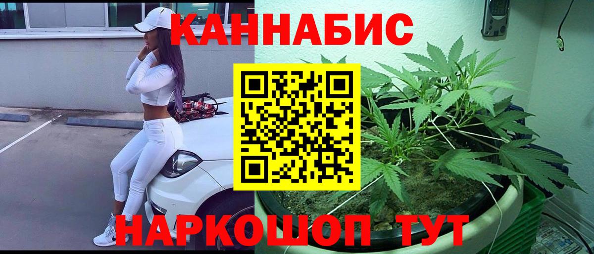 МАРИХУАНА SATIVA & INDICA Курганинск